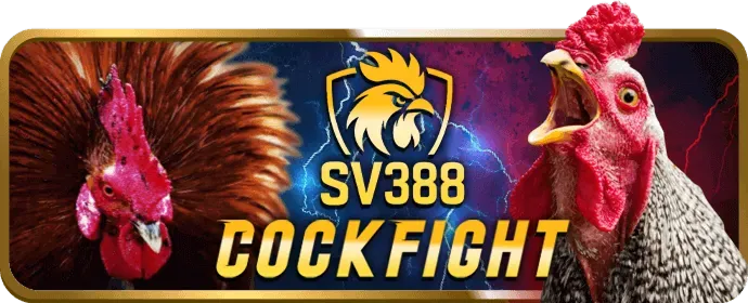 Ưu đãi chào mừng i9bet150 chính thức